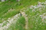 2014-07-05_Laengental-N-Hochweg (848). JPG
